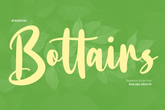 Bottairs: A Script Font That Brings Personality to Branding