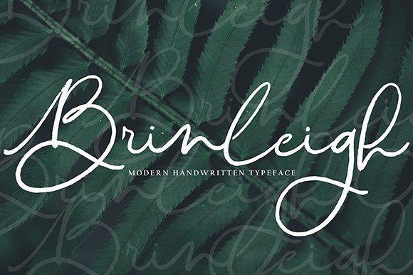 Brinleigh: The Flowing Script Font for Elegant Handmade Brands