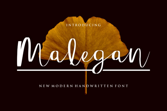 Malegan: A Premium Script Handwritten Font for Designers