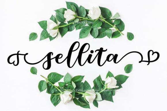 Sellita Font for Branding and Creative Projects