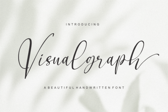 Visualgraph: The Elegant Script Font for Handmade Creators
